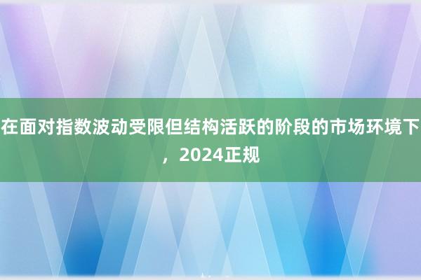 在面对指数波动受限但结构活跃的阶段的市场环境下，2024正规